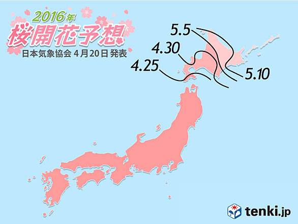 桜の開花予想 - tenki.jp