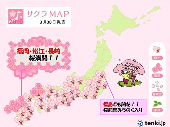 九州から桜見頃に　開花はみちのく入り(日直予報士) - tenki.jp