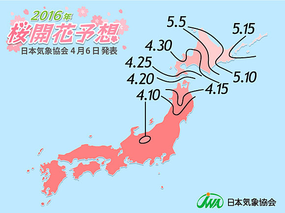 東北も桜の季節　日本気象協会発表(日直予報士) - tenki.jp