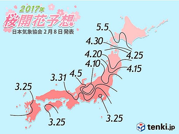 日本気象協会発表　第1回桜の開花予想(日直予報士) - tenki.jp