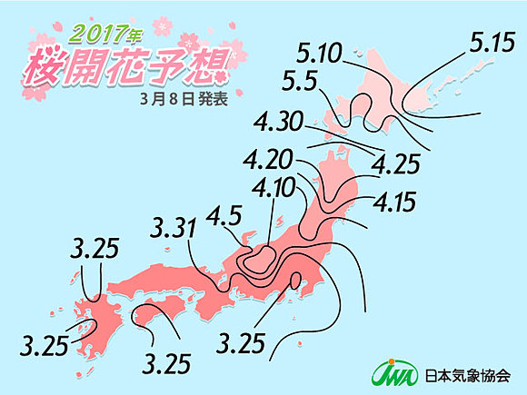 桜の開花あと2週間　日本気象協会発表(日直予報士) - tenki.jp