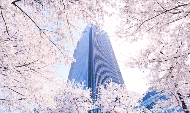 Midtown Blossom 2016 | 東京ミッドタウン