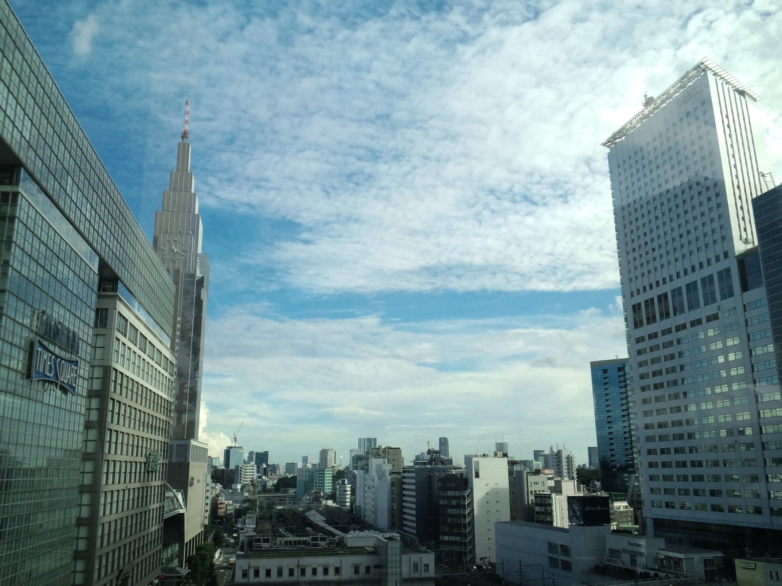 南新宿ニュウマン「6Fガーデン」からの景色