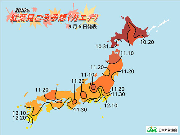 2016年紅葉の見ごろ　気象協会発表(日直予報士) - tenki.jp