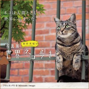 【予告】［7階催事場］ネコは人間とともに世界に広まった。写真展「岩合光昭の世界ネコ歩き」