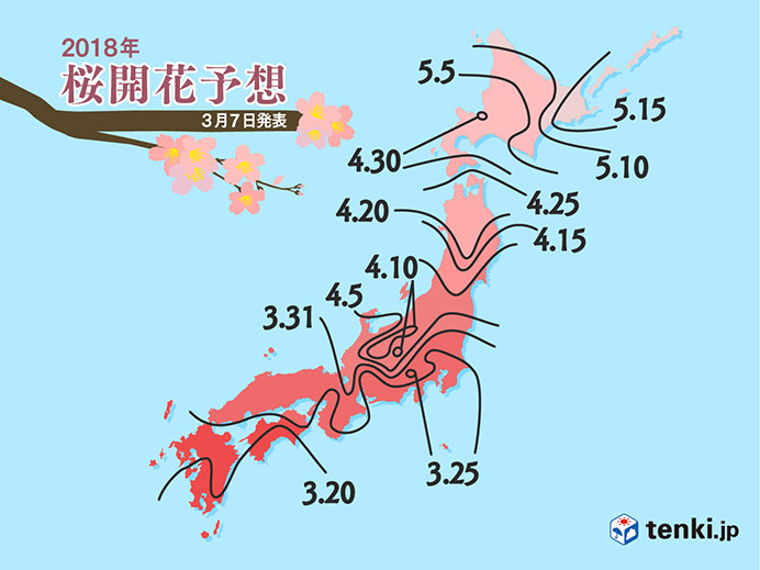 桜の開花予想　早まる　日本気象協会(日直予報士)