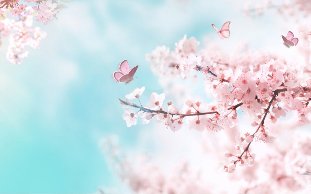 「清明」は二十四節気のひとつで春の清々しい季節のこと。意味や過ごし方を紹介 | Oggi.jp