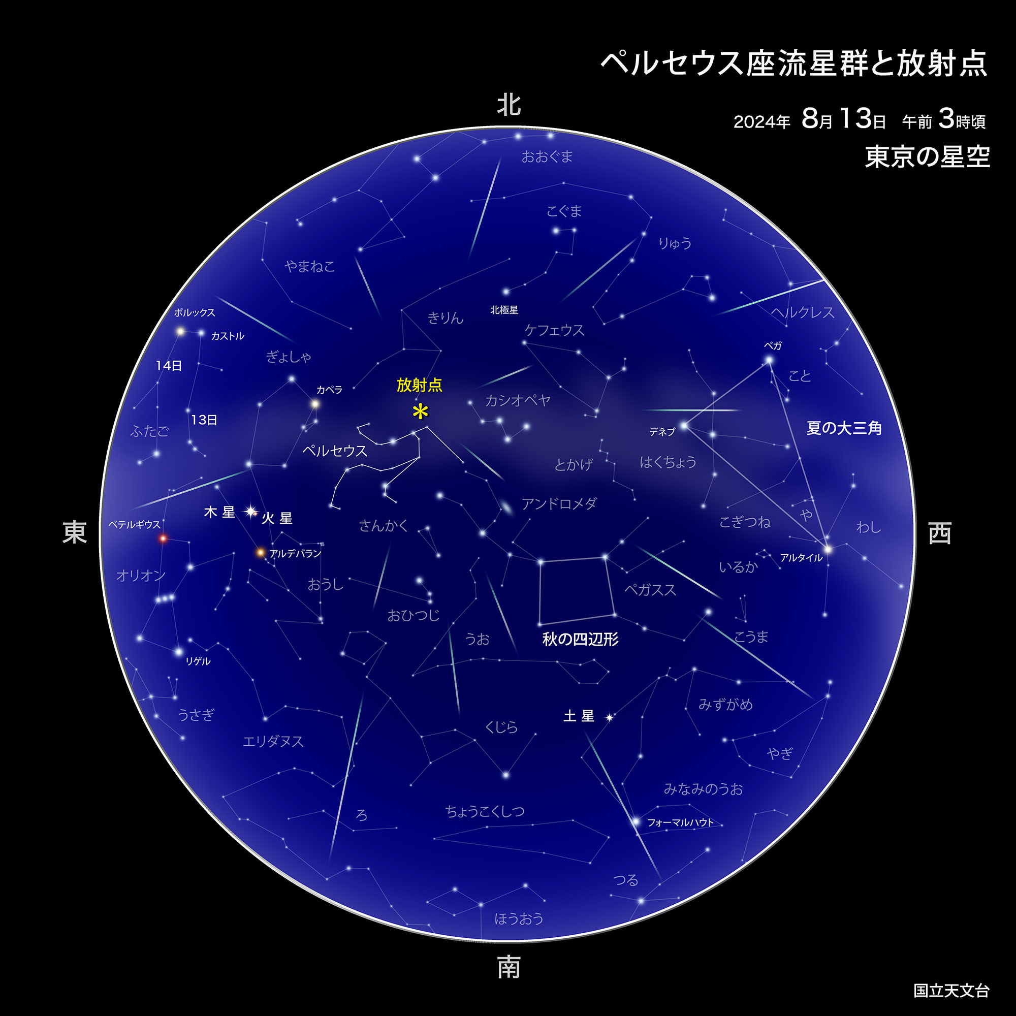 ペルセウス座流星群が極大（2024年8月） | 国立天文台(NAOJ)